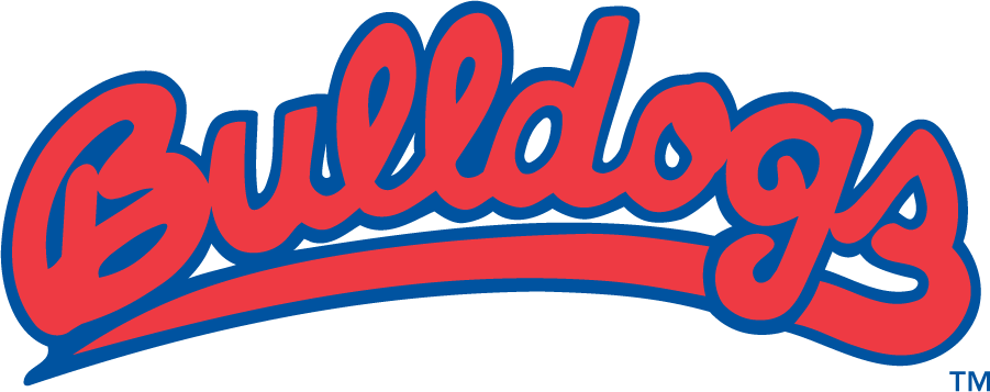 Fresno State Bulldogs 1982-2006 Wordmark Logo diy iron on heat transfer